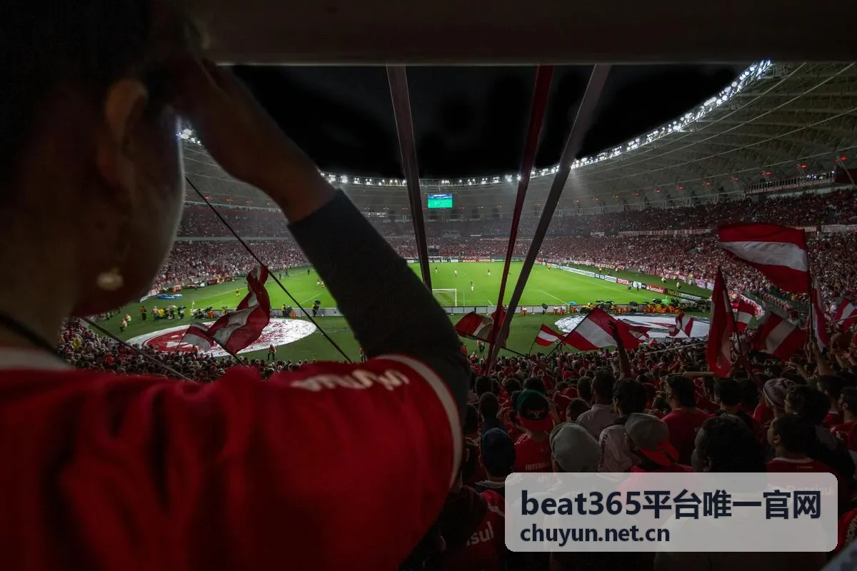 beat365唯一官网安全访问环境检查示意