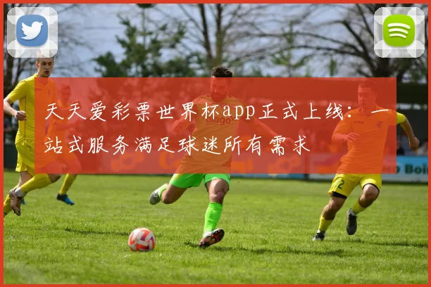 天天爱彩票世界杯app正式上线：一站式服务满足球迷所有需求